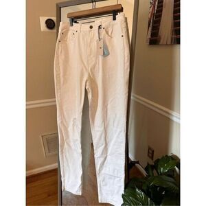 American Tail Lola Ultra High Rise Stretch Skim‎ NwT